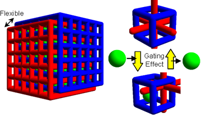 InterpenetrateJungle-Gym