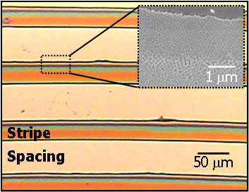 StripePattern