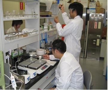 研究風景 研究風景