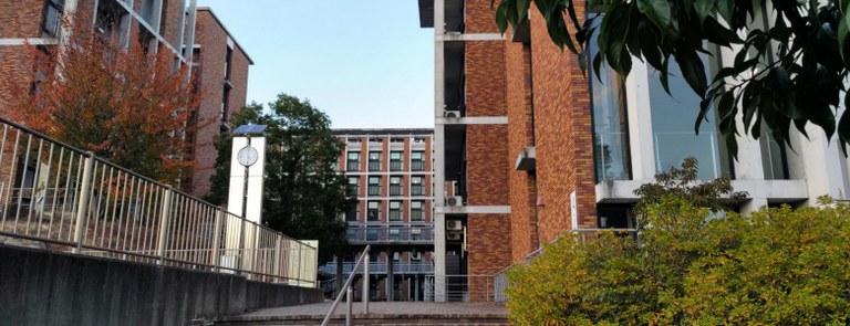 20241128katsura.jpg