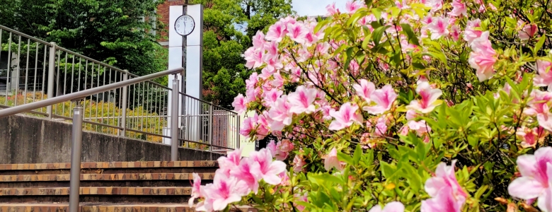 20250507azalea-clock