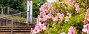 20250507azalea-clock